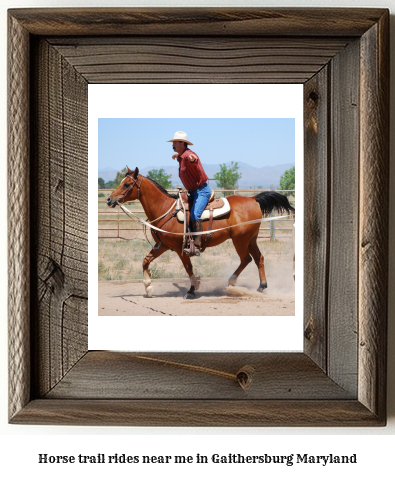 horse trail rides near me in Gaithersburg, Maryland